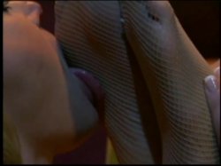 Captura de 'Lesbian Fetish Fever' nº 25