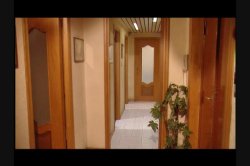 'Caribbean Vacation' screenshot nº 4