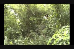 'Bangkok Connection' screenshot nº 121