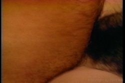 Captura de 'Sorority Sex Kittens 1' nº 91