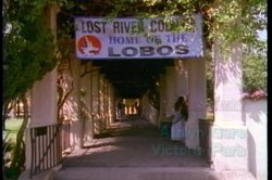 Captura de 'Sorority Sex Kittens 1' nº 10