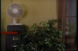 Captura de 'Sorority Sex Kittens 1' nº 136