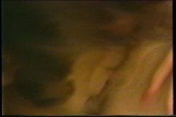 Captura de 'Busty Ladies In The 80s Volume 3' nº 20