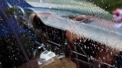 'Car Wash Girls 4: Megan Rain' screenshot nº 7