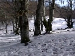 Captura de 'Intimita Proibite Di 2 Giovani Casalinghe' nº 4