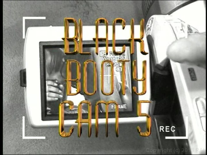 Ebony Babe Sucks Black Cock