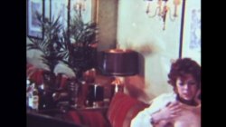 Captura de 'White Box Productions 28 - Five Erotic Films, PT 1' nº 32