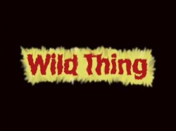 Captura de 'Wild Thing' nº 4