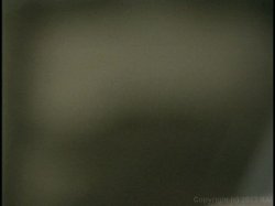 Captura de 'Your Pussy is My Playground' nº 2