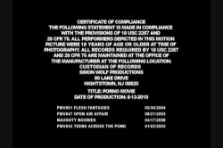 Captura de 'Porno Movie' nº 1