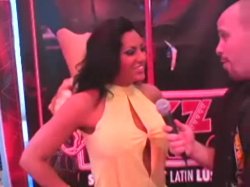 Captura de 'Exotica Interview At The 2005 Adult Entertainment Expo' nº 16