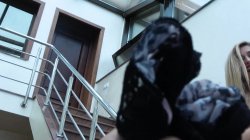 'Der Backstage Ficker 28' screenshot nº 44