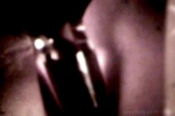 Captura de 'Stars Of Sex, The' nº 63