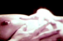 Captura de 'Stars Of Sex, The' nº 68
