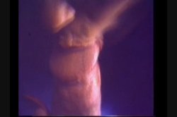 Captura de 'Throbbin Holes' nº 22