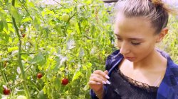 'Countryside visit, Adventure's Best by Laura Quest ' S01E01' screenshot nº 65