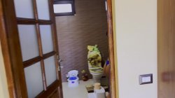 'Countryside visit, Adventure's Best by Laura Quest ' S01E01' screenshot nº 94