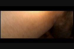 Captura de 'Mondo Extreme 69 - Porkin' the Porkies' nº 113