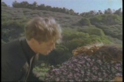 Captura de 'Rocco, Mentor to Millions' nº 47