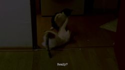 Captura de 'Traveling & fucking, Adventure's Best by Laura Quest ' S01E02' nº 4