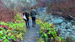 'Mountain geteway, Adventure's Best by Laura Quest S01E03' screenshot nº 27