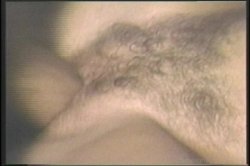 Captura de 'Golden Age Of Porn, The: Big Tits' nº 116