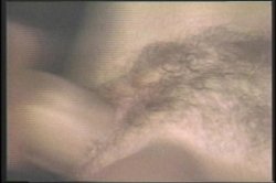 Captura de 'Golden Age Of Porn, The: Big Tits' nº 118