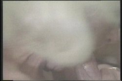Captura de 'Golden Age Of Porn, The: Big Tits' nº 120