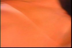 Captura de 'Wax on Whacks Off' nº 55