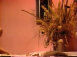 'John Holmes: The Basement Tapes Vol. 5' screenshot nº 98