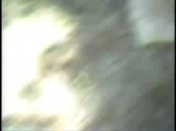 'John Holmes: The Basement Tapes Vol. 5' screenshot nº 45