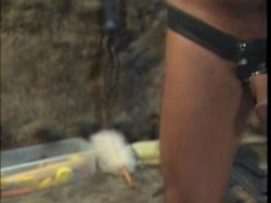 Captura de 'Dominant Legends of Porn' nº 139