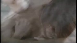 Captura de 'Deep Inside Racquel Darrian' nº 100