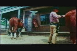 Captura de 'Candy Samples Triple Feature 4' nº 55