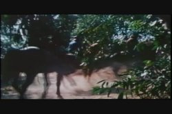 Captura de 'Candy Samples Triple Feature 4' nº 87