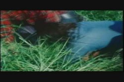 Captura de 'Candy Samples Triple Feature 4' nº 89