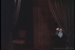 Captura de 'Vanessa Del Rio Triple Feature 5' nº 41