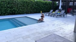'My Sexy Neighbor Needed My Hard Cock and Cum In Her Mouth' screenshot nº 1