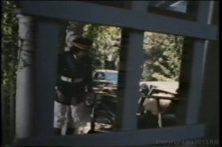 Captura de 'Seka Triple Feature 4' nº 2