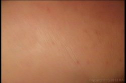 'Anal Excursions 2' screenshot nº 130