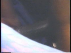 Captura de 'Sex Symbol, The' nº 121