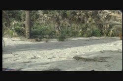 'Sunset in Paradise' screenshot nº 102