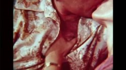 Captura de 'The Erotic World Of Seka 501 - Anal Ecstasy' nº 1