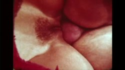 Captura de 'The Erotic World Of Seka 501 - Anal Ecstasy' nº 26