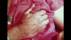 Captura de 'The Erotic World Of Seka 501 - Anal Ecstasy' nº 3