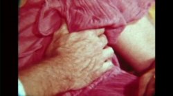 Captura de 'The Erotic World Of Seka 501 - Anal Ecstasy' nº 4