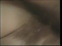 Captura de 'Christy Canyon Triple Feature' nº 49
