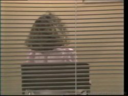 Captura de 'Christy Canyon Triple Feature' nº 53