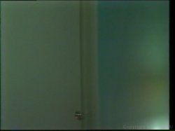 Captura de 'Christy Canyon Triple Feature' nº 76