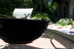 Captura de 'Seymore Butts' The Anal Life' nº 12